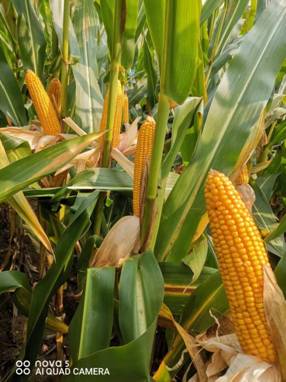 微信图片_20251028120229_41_29