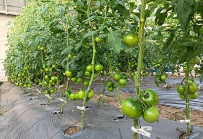 微信图片_20251028151008_106_154