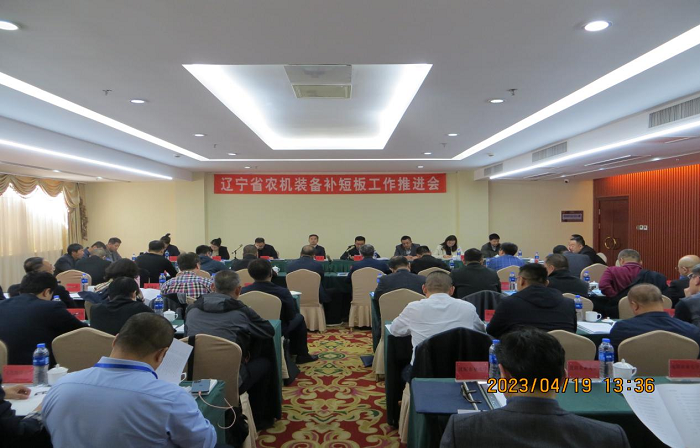 品牌的力量:沈阳品牌策划公司的崛起