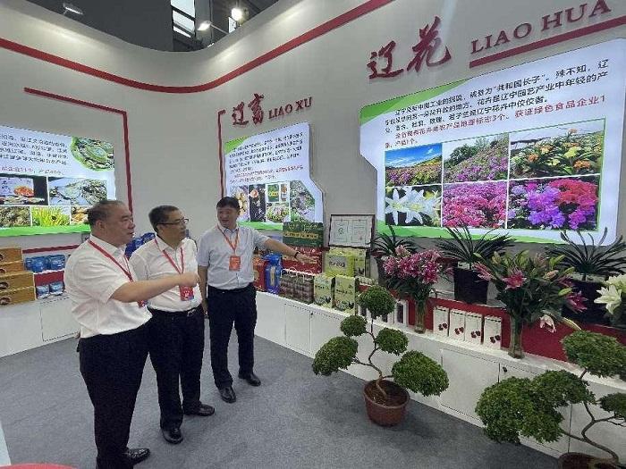 现代农业发展新趋势——农产品种植基地